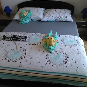 Apartman Dana, Zára